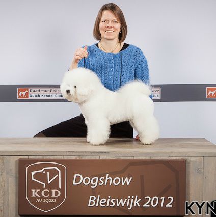 











Bleiswijk, Holland, 3. november 2012, 15e Internationale Hondententoonstelling, Dogshow Bleiswijk. Nalle blev BOB (BIR) med CAC og CACIB. Dommer Pamela Runderkamp, Holland.